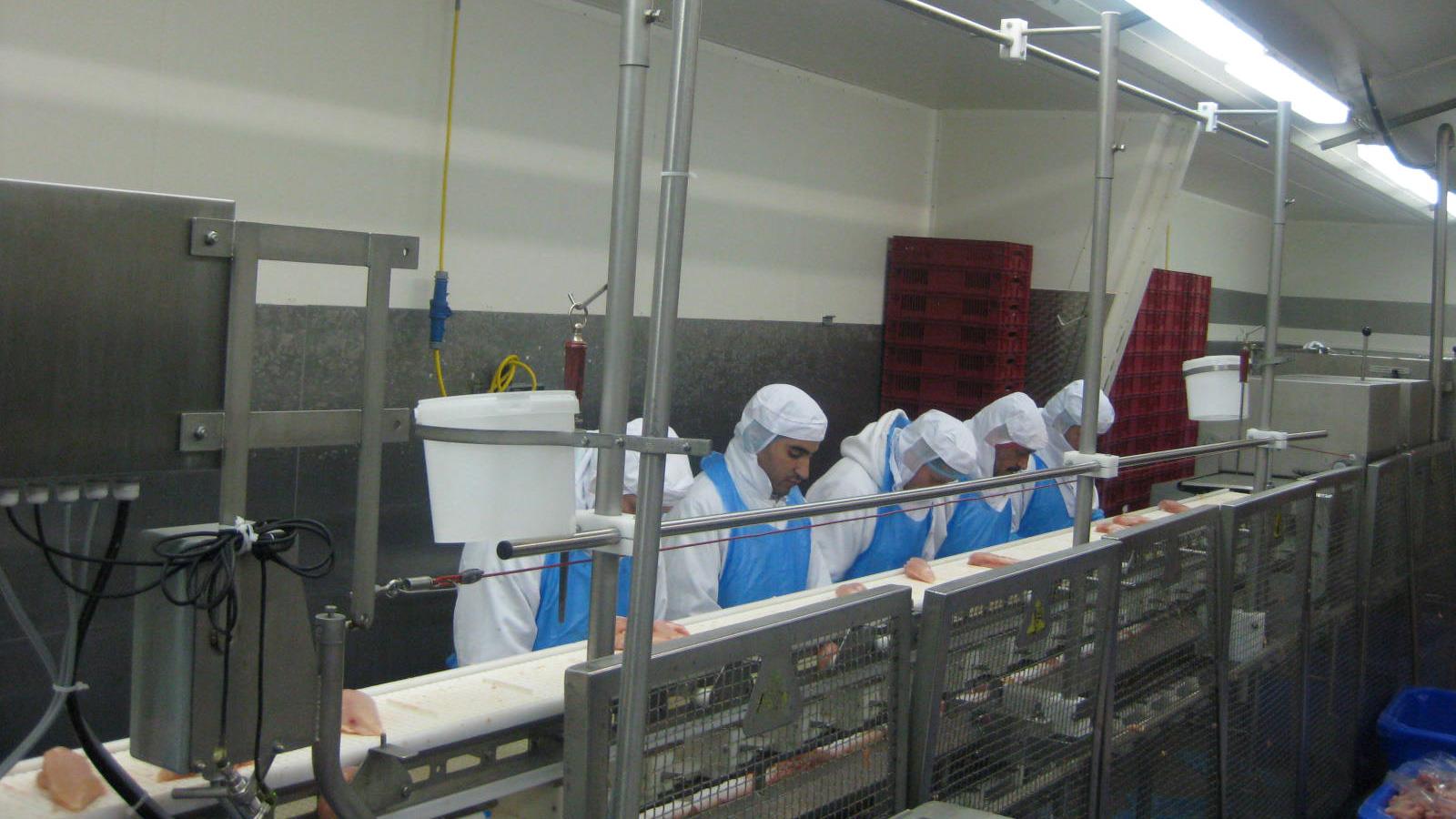 Scheria employees slice chicken at assembly line